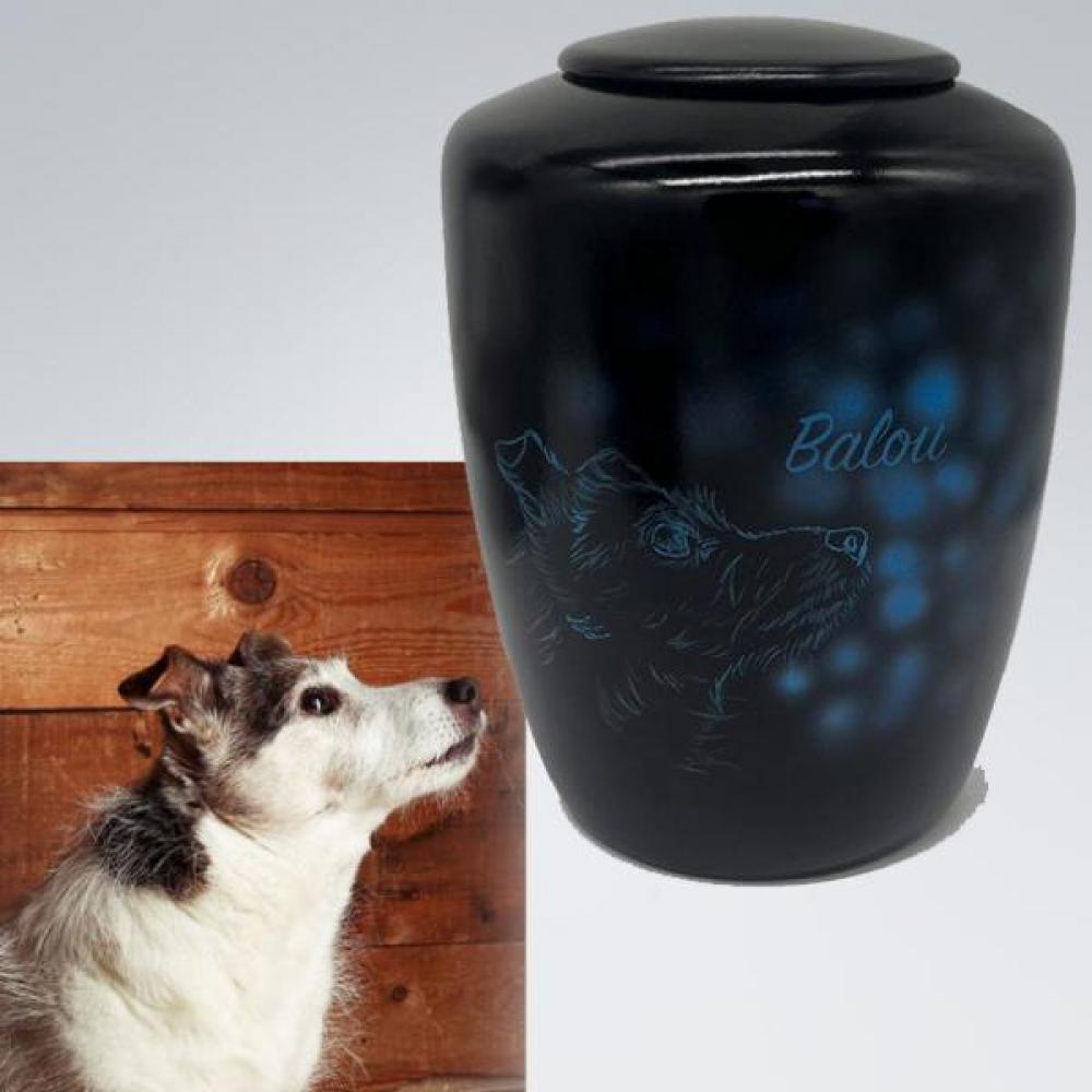 Teelichturne Hund im Licht - auch nach Foto